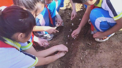 姜疃镇姜疃中心小学户外活动场地