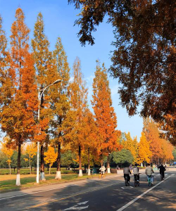 西华大学户外活动场地
