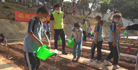 东莞市厚街镇陈屋小学户外活动场地