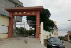 江西上饶铅山杨林乡中心小学户外活动场地