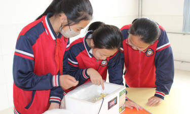 寿光市营里镇第一实验小学户外活动场地