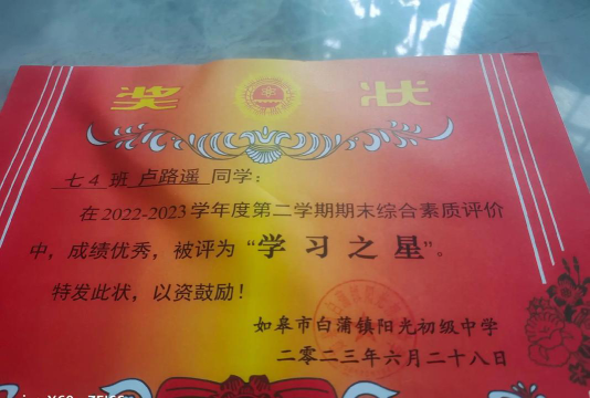 江苏省如皋市林梓镇林梓初级中学户外活动场地