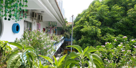 江门市蓬江区篁庄幼儿园户外活动场地