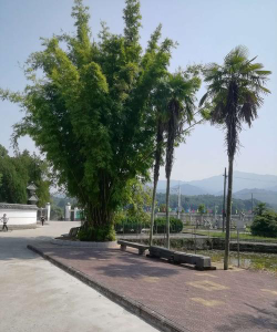 江西省永丰县欧阳修中学户外活动场地