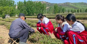 碑廓镇中心小学户外活动场地
