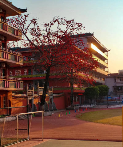 为民初级中学户外活动场地