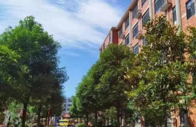 尼巴九年制学校户外活动场地