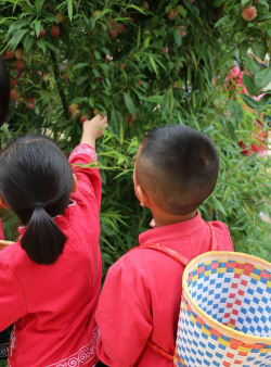 宁蒗县第二幼儿圆户外活动场地