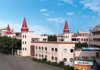 望牛墩镇康乐幼儿园户外活动场地
