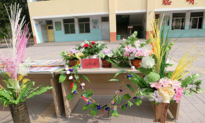 临清市先锋办事处中心小学户外活动场地