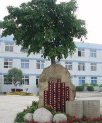 成都市龙潭小学校户外活动场地