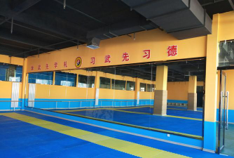 栾川县精武武术体育培训中心有限公司户外活动场地