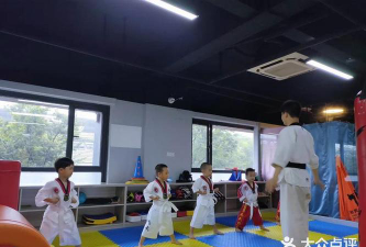 松阳县艺博体育培训有限公司户外活动场地