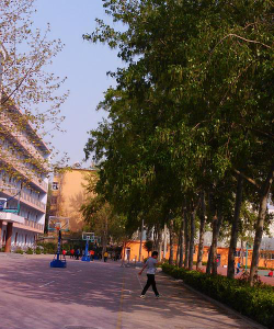 潍坊实验小学户外活动场地