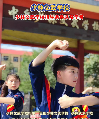 六安市少林文武学校户外活动场地