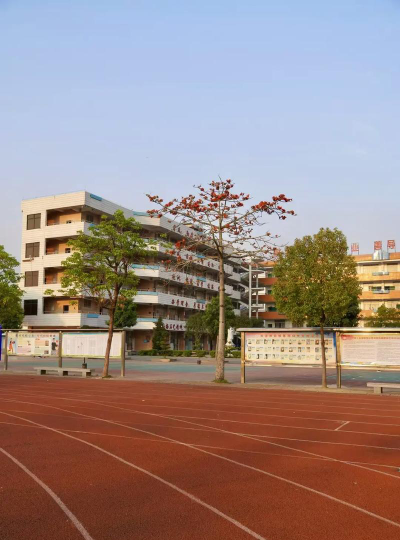 江门市古井镇霞路学校(中学部)户外活动场地