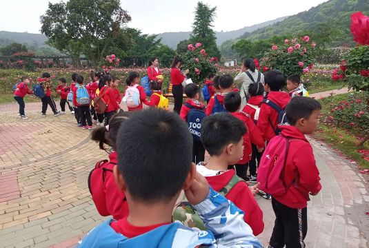 深圳市罗湖区雅乐幼儿园户外活动场地