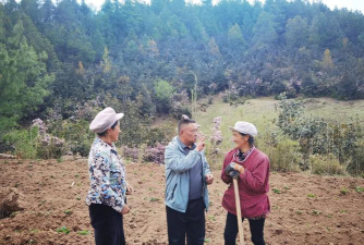 兰坪县啦井镇中心完小户外活动场地