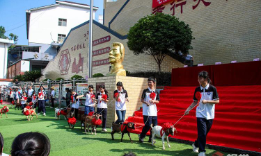 宣汉县天生镇学校户外活动场地