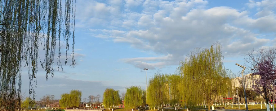 德阳城市轨道交通职业学院户外活动场地
