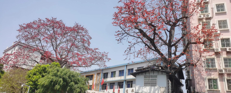 广东省河源市和平县阳明镇富联希望小学户外活动场地