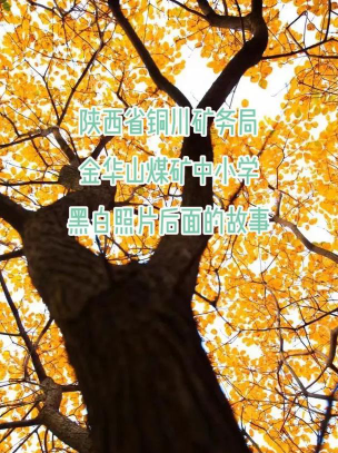 金华山矿中小学户外活动场地