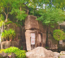 石岩公学户外活动场地