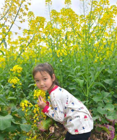 小精灵幼儿园户外活动场地