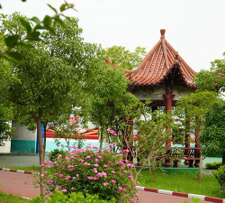春芽中学户外活动场地