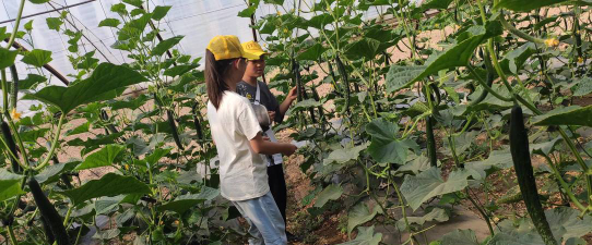 青海省西宁市刘家小学户外活动场地