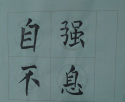 娄底市娄星区惕予书画培训学校有限公司户外活动场地