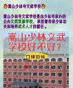 延安少林文武学校户外活动场地