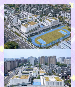大关小学户外活动场地