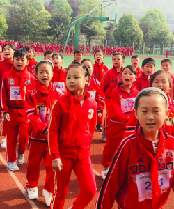 胡家坝镇龙王中心小学户外活动场地