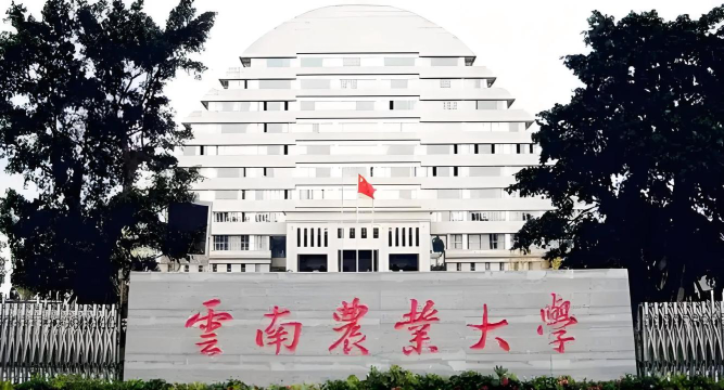 云南农业大学户外活动场地