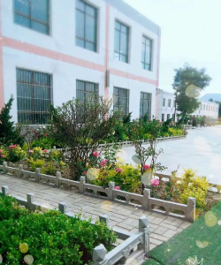 漳县三岔小学户外活动场地