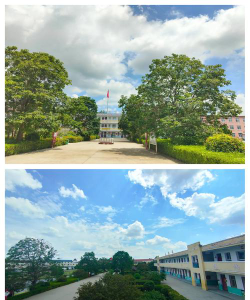 睢县蓼堤镇第一初级中学户外活动场地