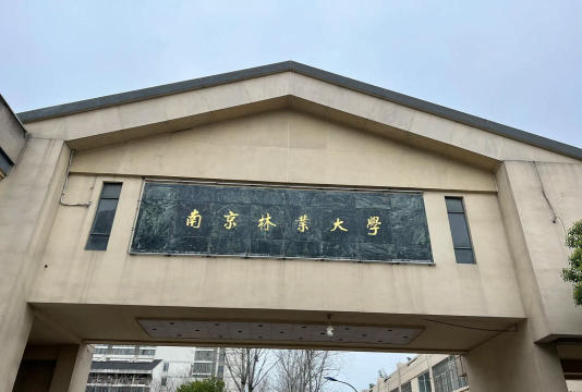 南京林业师范大学南京校区户外活动场地