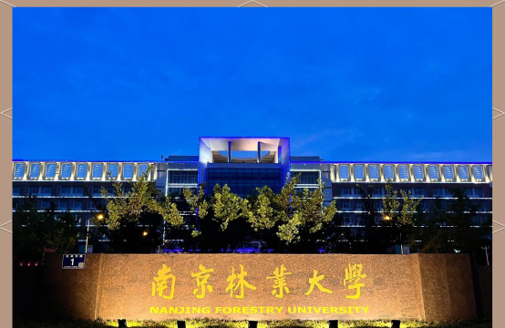 南京林业师范大学淮安校区户外活动场地