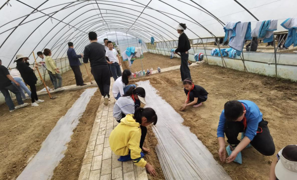 泥阳镇中心小学户外活动场地