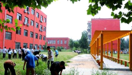 莘县观城中学户外活动场地
