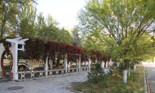 克拉玛依市第十中学户外活动场地