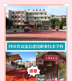 双流建设幼儿师范职业技术学校户外活动场地