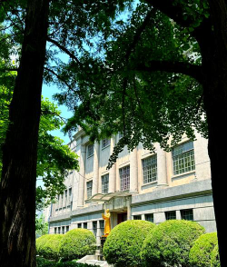 南汇区周浦镇八一中学户外活动场地