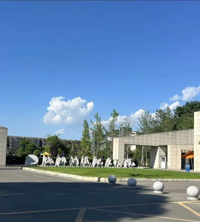 德阳科贸职业学院幼师升学班户外活动场地