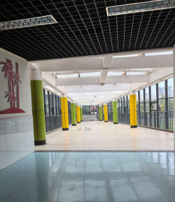 广州市天河区陶育路小学户外活动场地