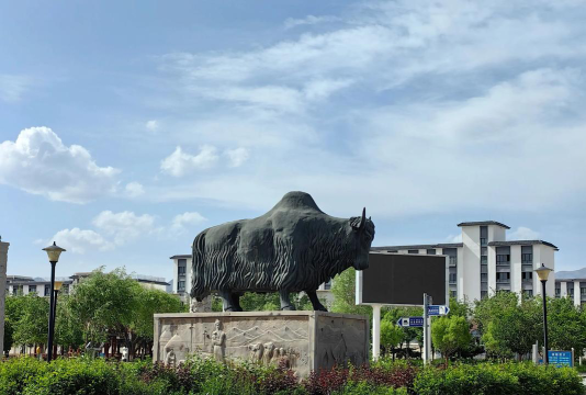 乌恰镇中心小学户外活动场地