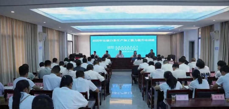 安康农业学校户外活动场地