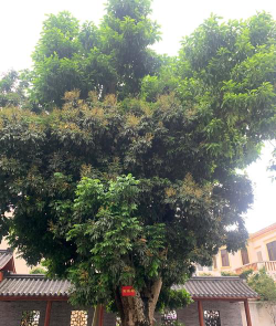 西宁会计学校户外活动场地