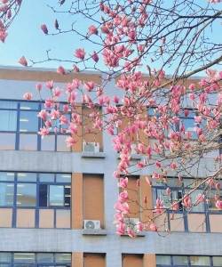 河南郑州一中户外活动场地